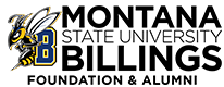 MSB Foundation Logo